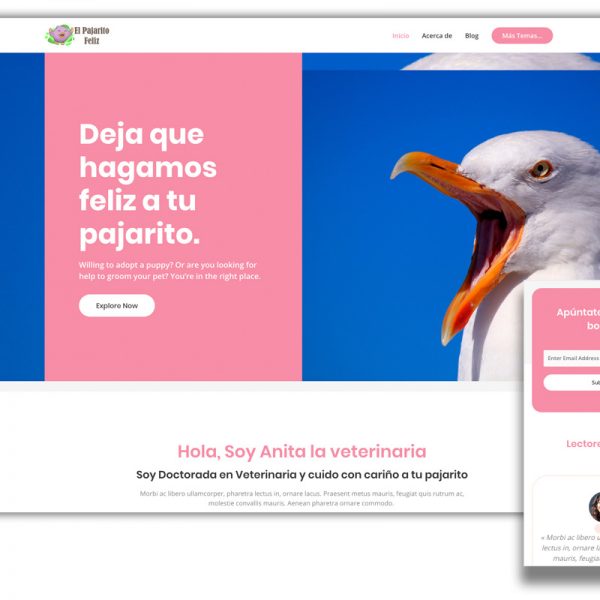 Clínica Veterinaria